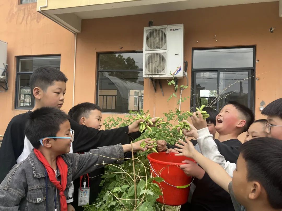 幼儿园毕业,厨龄就有3年……宁波这些学校把劳动玩出新花样