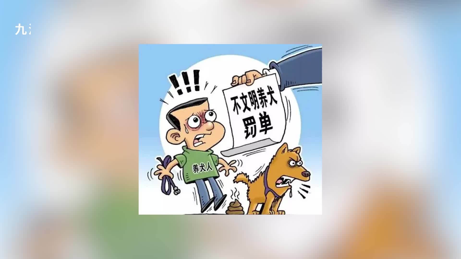 重庆一居民家中养多只狗，不听劝导拒整改被罚300元，警方：没收其未登记犬只