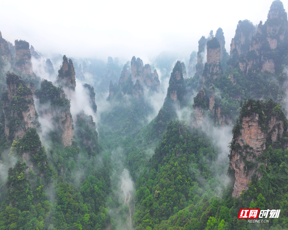 5月2日，雨中的湖南张家界国家森林公园十里画廊云雾缭绕。