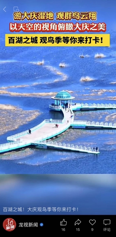 龙视新闻《百湖之城！大庆观鸟季等你来打卡！》。