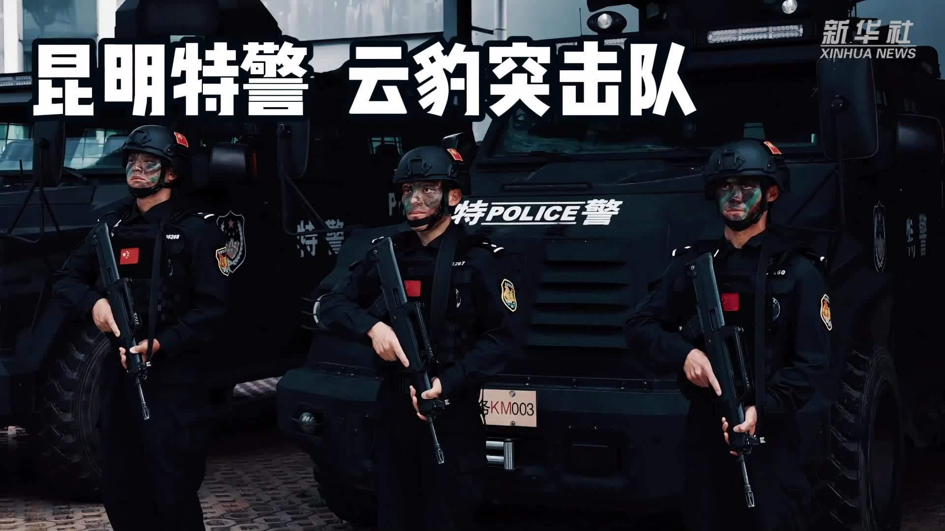 昆明特警云豹突击队“下场”复刻站位，尽显忠诚底色