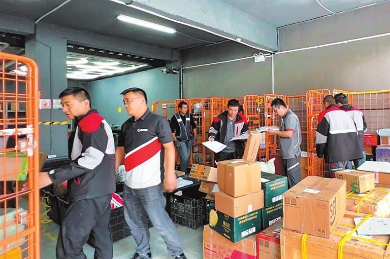 兰州顺丰速运有限公司员工进行快递分拣　兰州顺丰速运有限公司供图