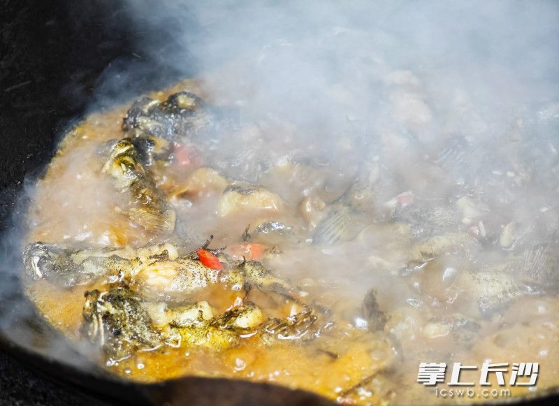 湘江里老渔村现做的鱼。  长沙晚报全媒体记者 邹麟 摄