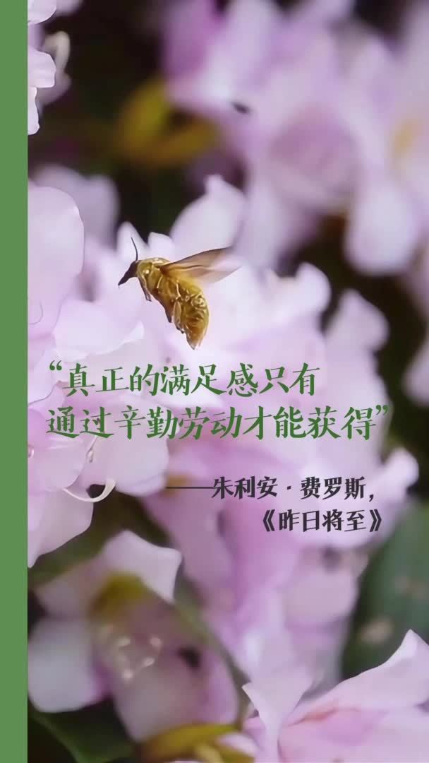 假日书房｜朱利安·费罗斯：真正的满足感只有通过辛勤劳动才能获得