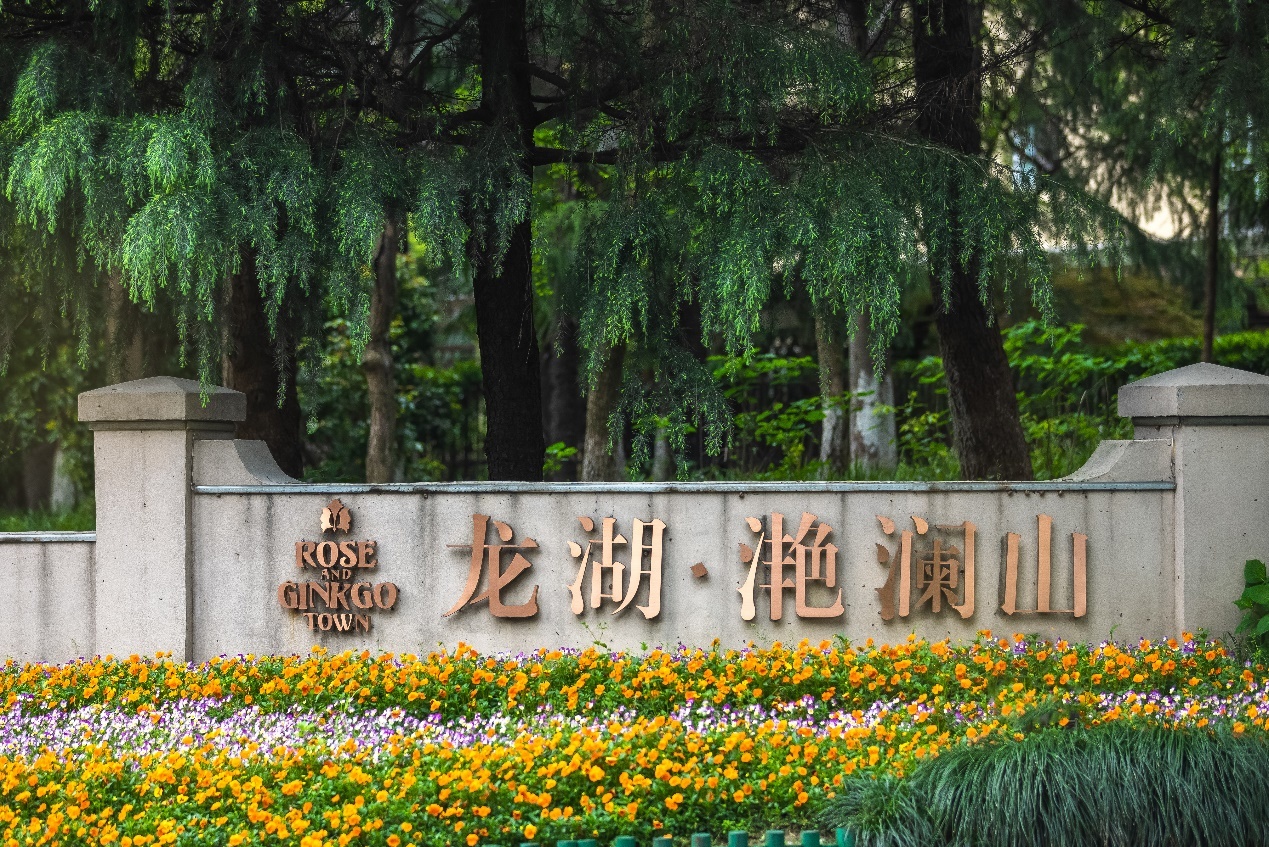 在杭州金沙湖谁的人生没点含“龙”量(图3)