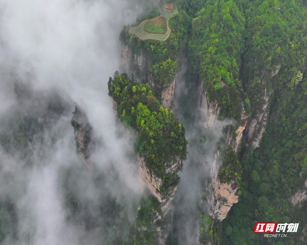 5月2日，湖南张家界国家森林公园天子山空中田园云雾缭绕。