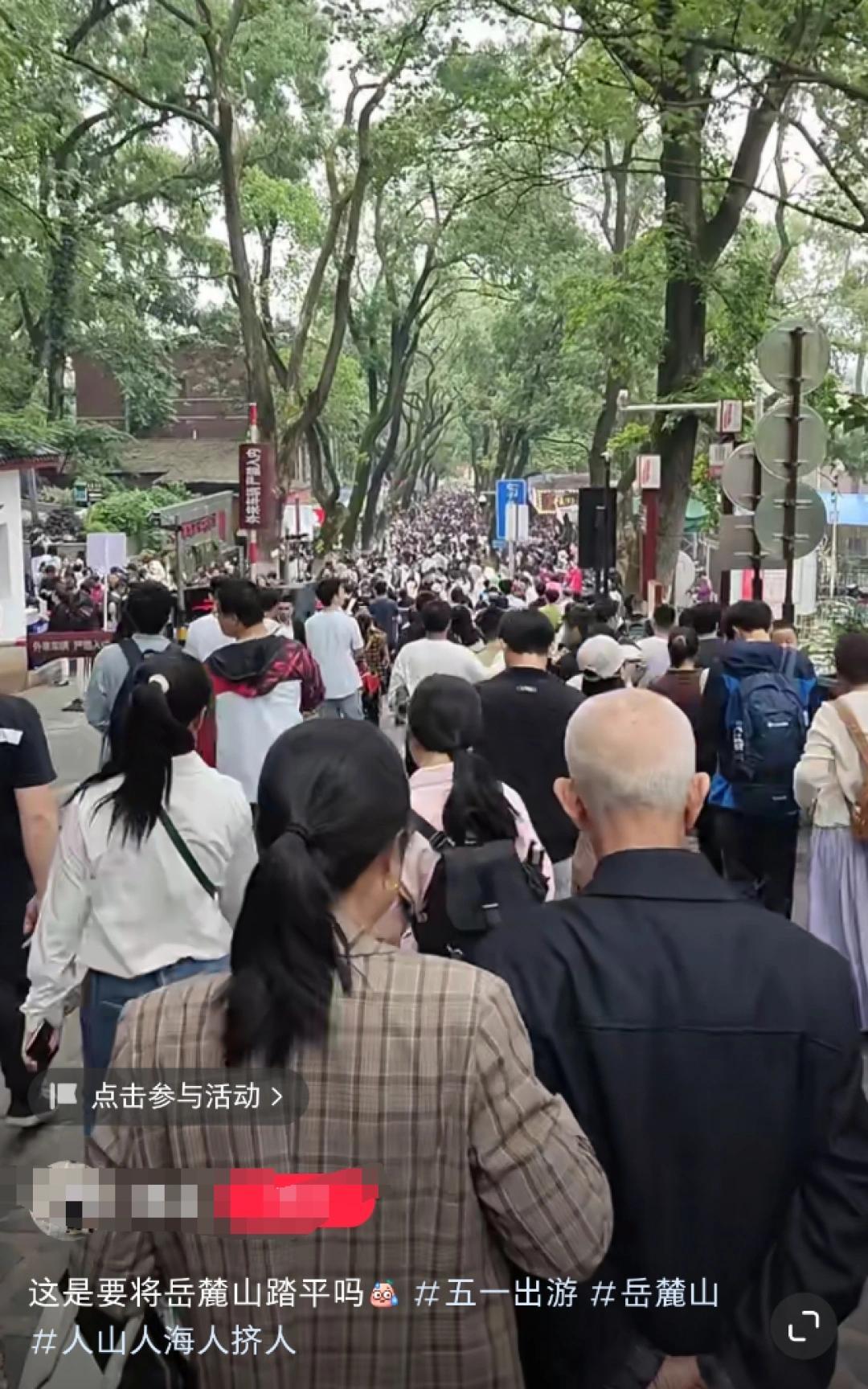 △图/网络截图。