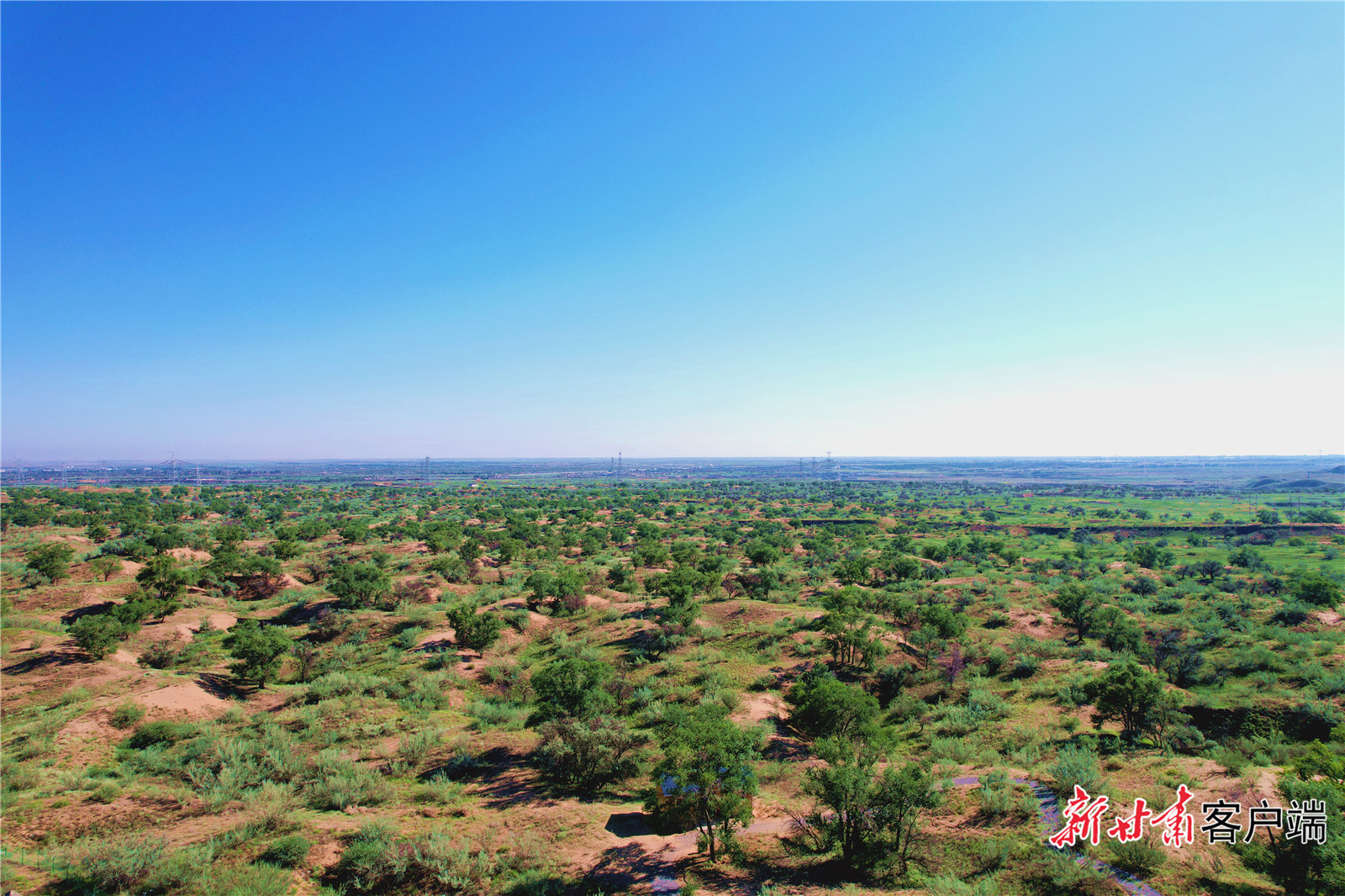 经过多年持续治理，八步沙林场草木葱茏，绿意盎然。新甘肃&middot;甘肃日报记者　金奉乾　摄