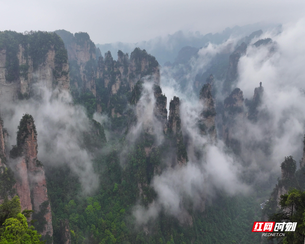 5月2日，湖南张家界国家森林公园云雾缭绕。