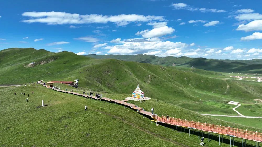 阿万仓湿地　一片藏匿于黄河之畔的生态瑰宝