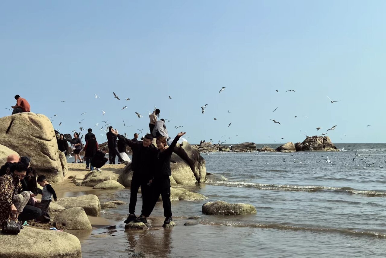 4月28日，秦皇岛市北戴河老虎石公园，游客在海滩与海鸥互动。 河北日报记者 张辉摄