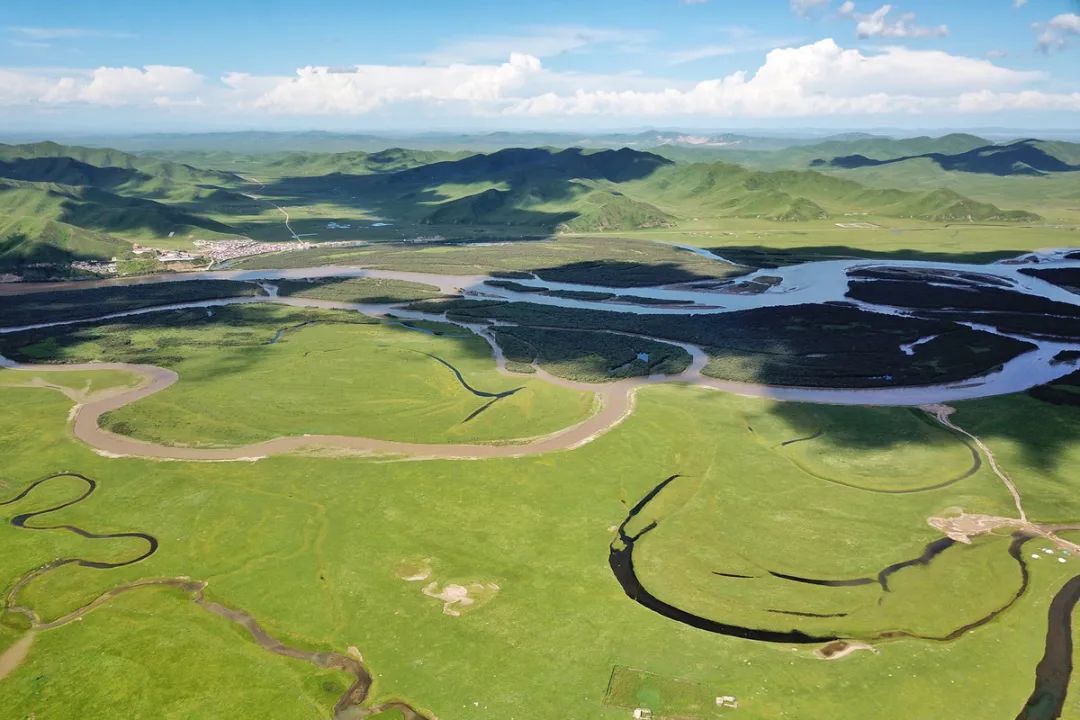 阿万仓湿地　一片藏匿于黄河之畔的生态瑰宝