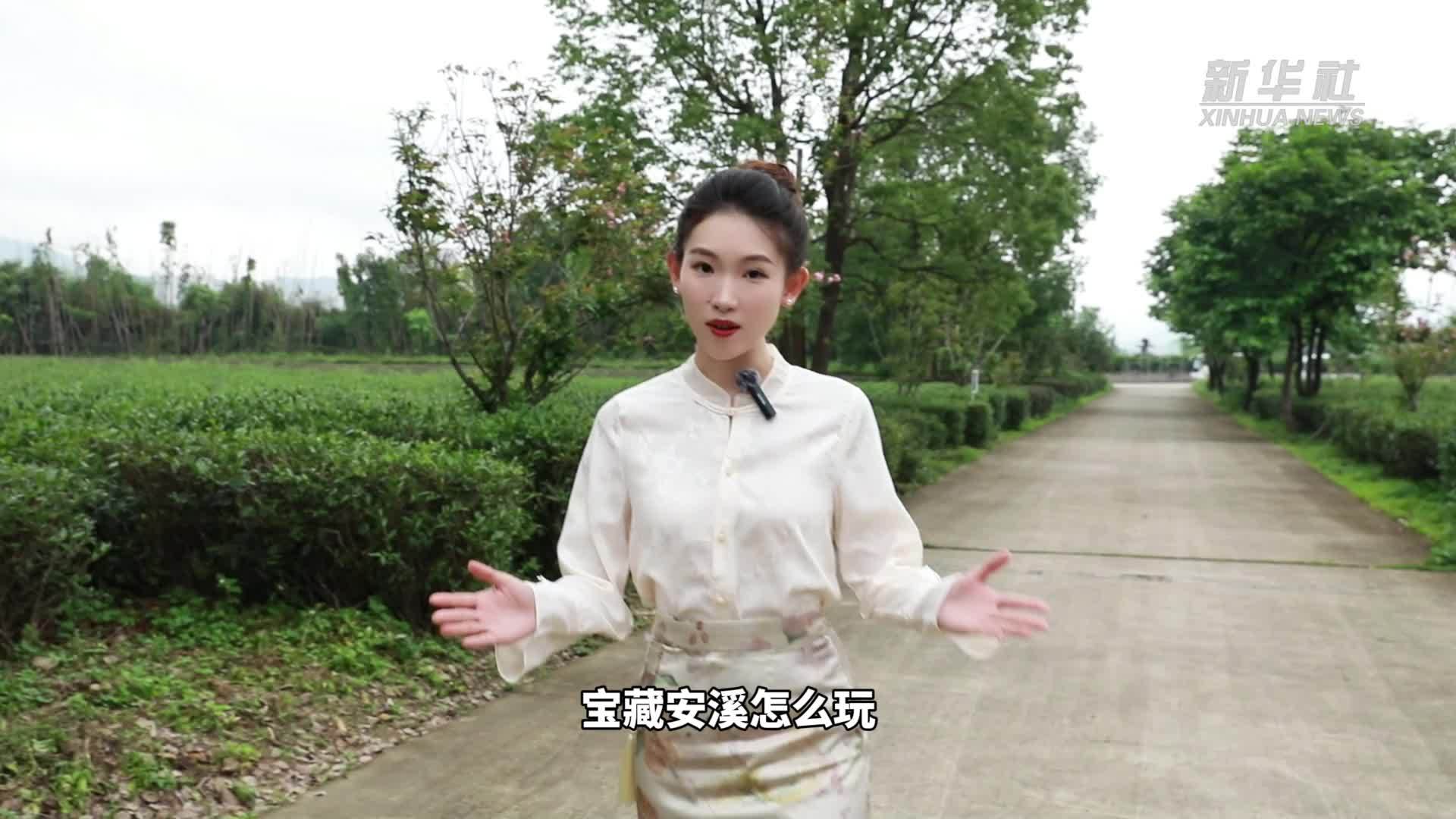 秀我中国｜县长带你逛安溪