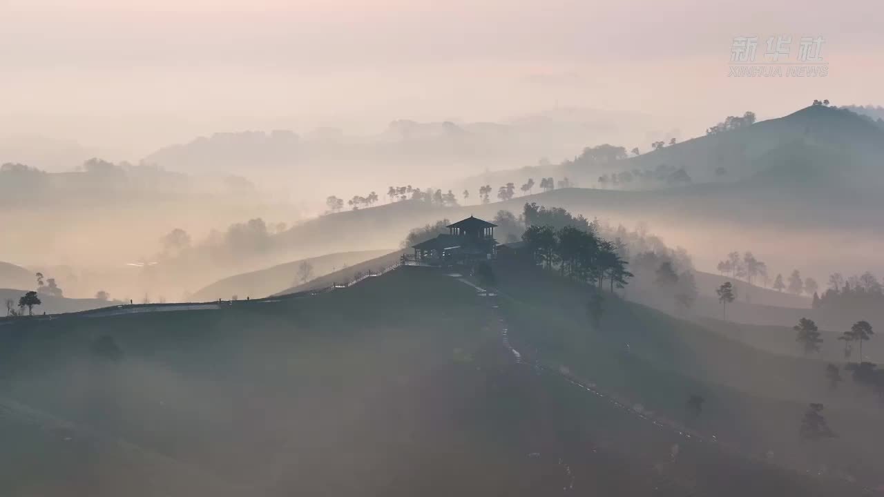 云雾缭绕润茶香