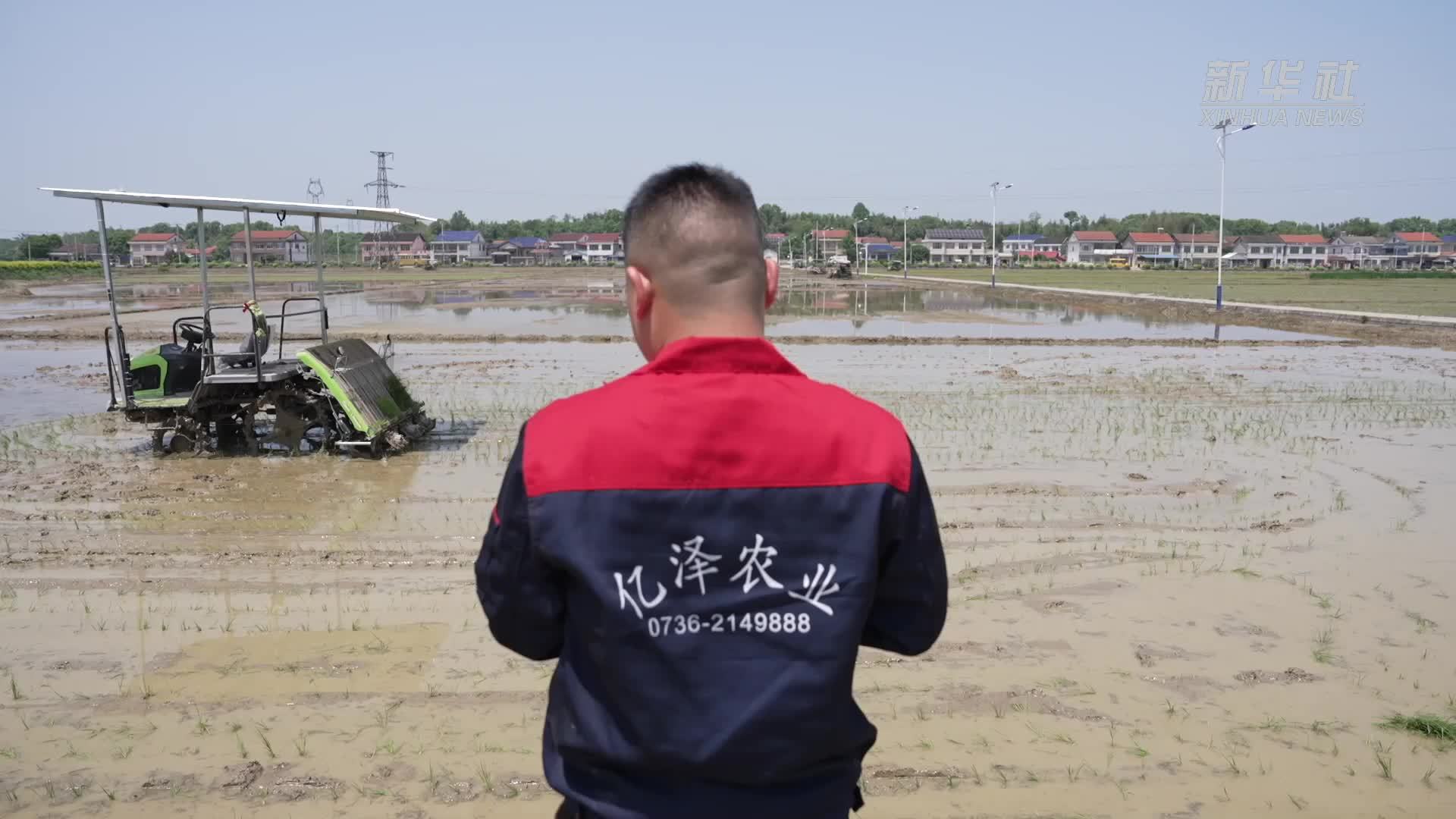 广袤田地“新农人”陈帅宇播撒青春智慧