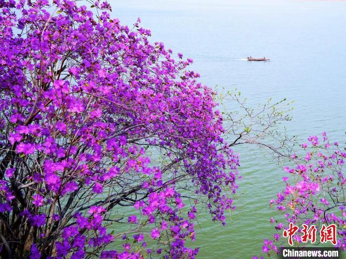 图为松花湖一角。吉林市文旅局供图