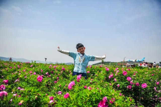 摄影：邵凯 2023年5月 于芳蕾玫瑰花乡田园综合体