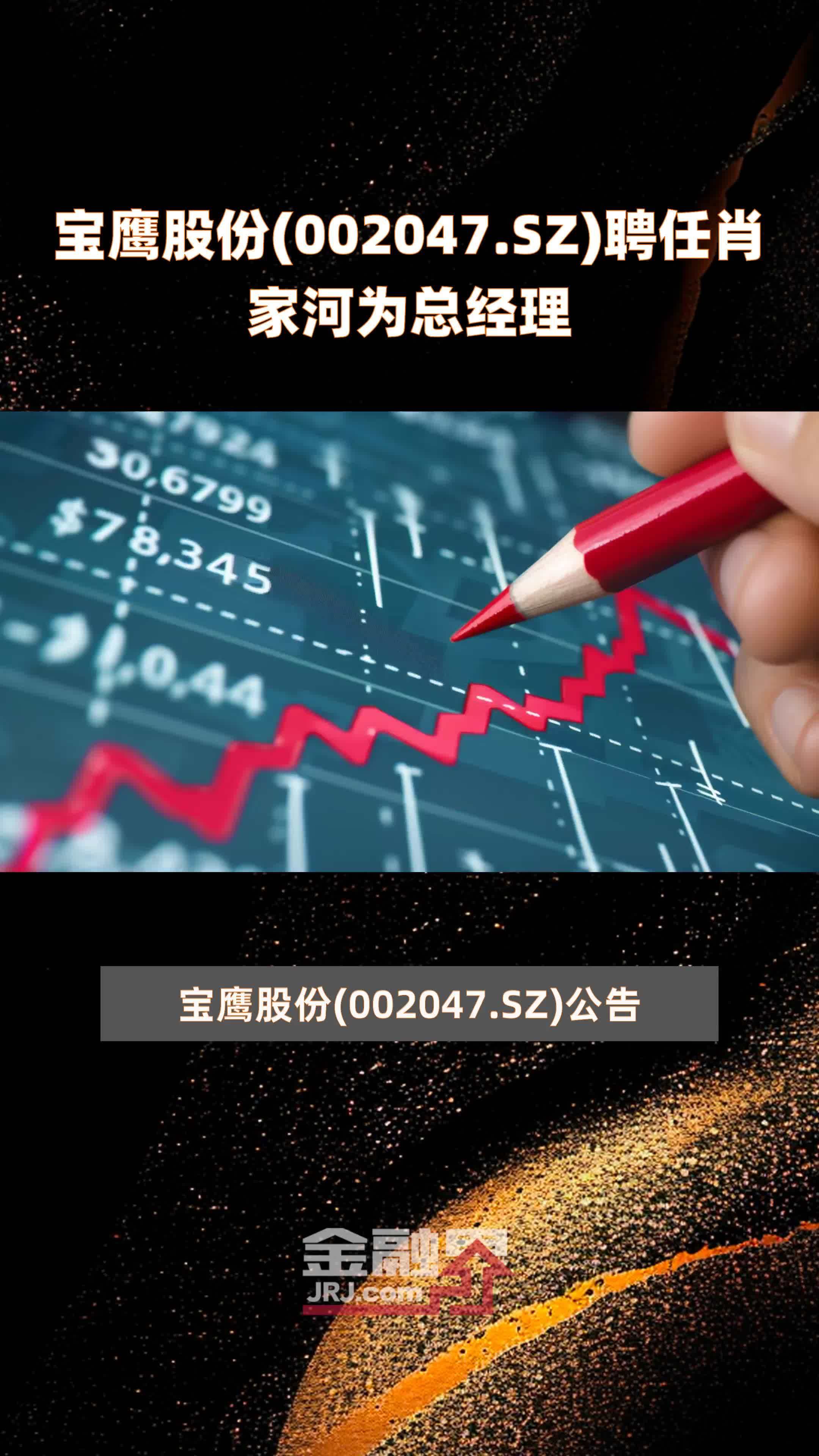 宝鹰股份002047sz聘任肖家河为总经理快报