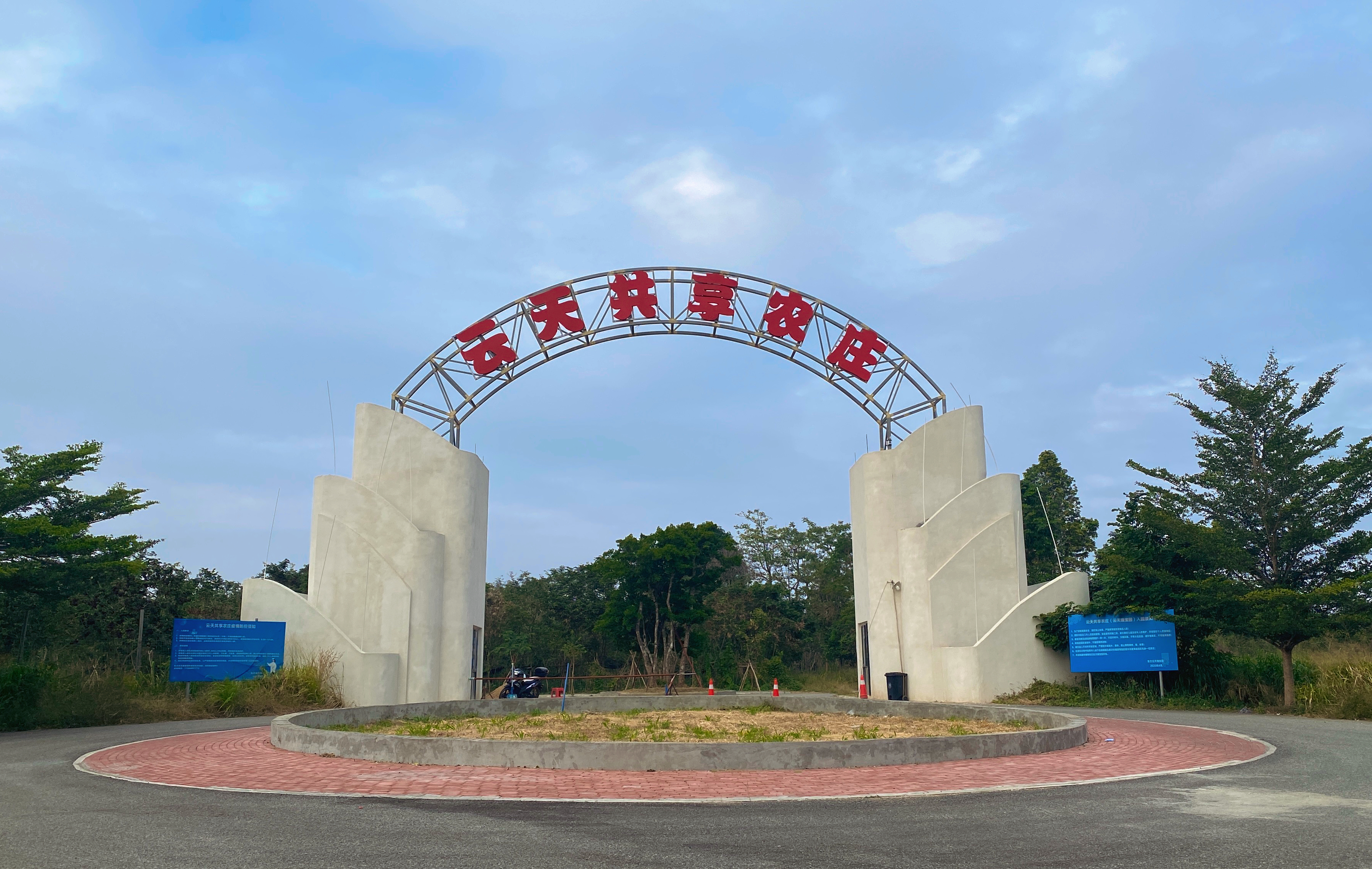 多家种植企业入驻海南黄花梨官方交易平台良木森林 海南珍贵林木产业形成新格局