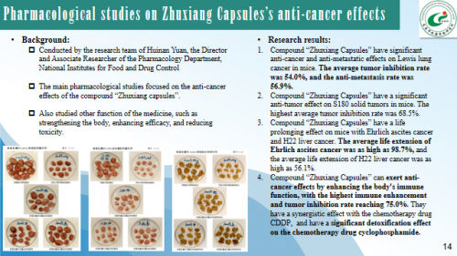 “珠香”药物抗肿瘤作用为主的主要药效学研究