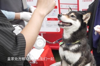 玛氏旗下皇家宠物食品,专注犬猫健康50余年