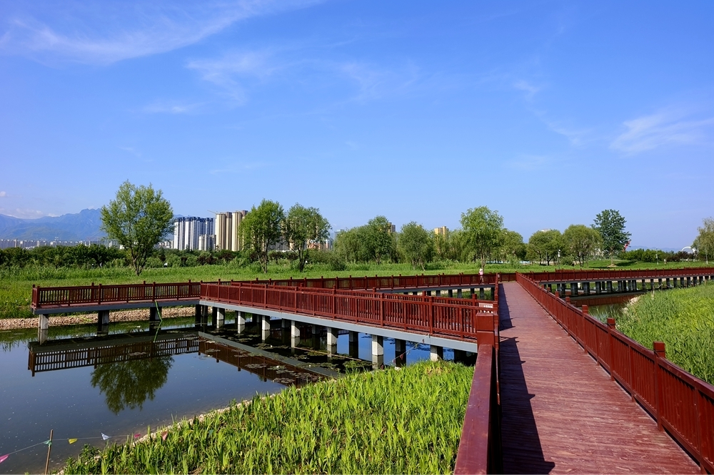 宝鸡市金台区:提升城市品质 提高人民群众获得感,幸福感和满意度