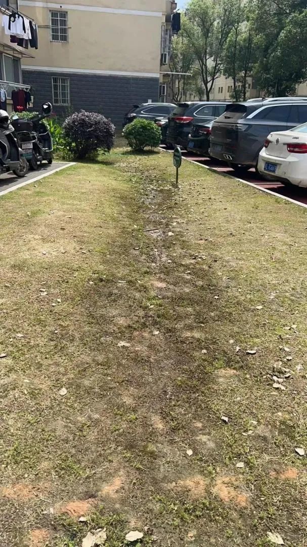 督查通报！鹰潭海绵城市项目建设存在这些问题