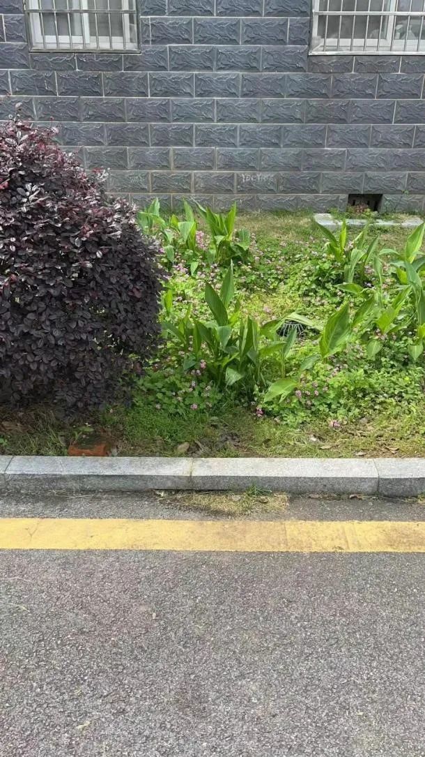 督查通报！鹰潭海绵城市项目建设存在这些问题