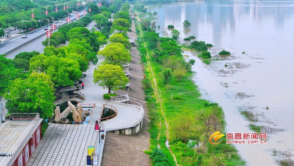 南昌:赣江水位持续上涨(图)