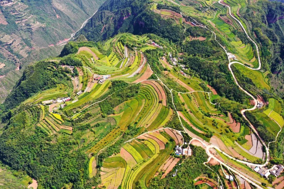 陇南这条研学旅游线路 等你“趣”玩