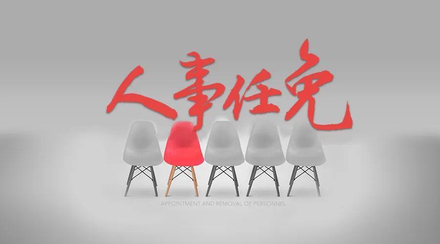 官方：青岛市干部任免一览（4月）