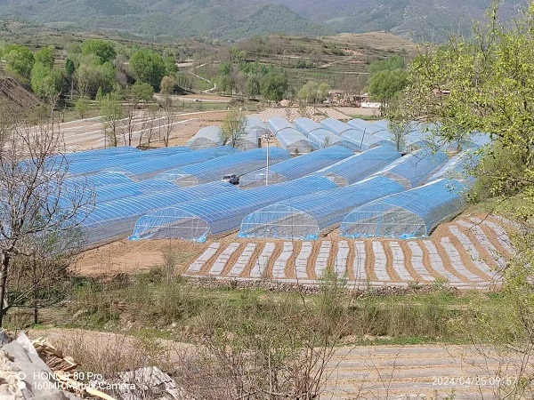 建设乡村聚宝“棚”　华亭农户踏上富“蔬”之路