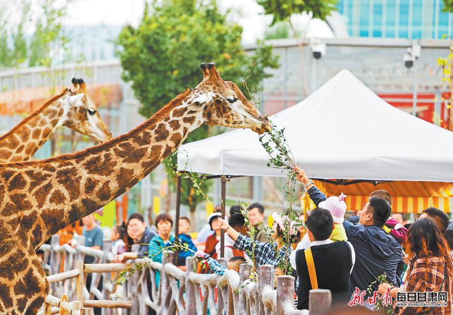 5月1日，游客在兰州野生动物园游玩。新甘肃·甘肃日报记者　冯乐凯