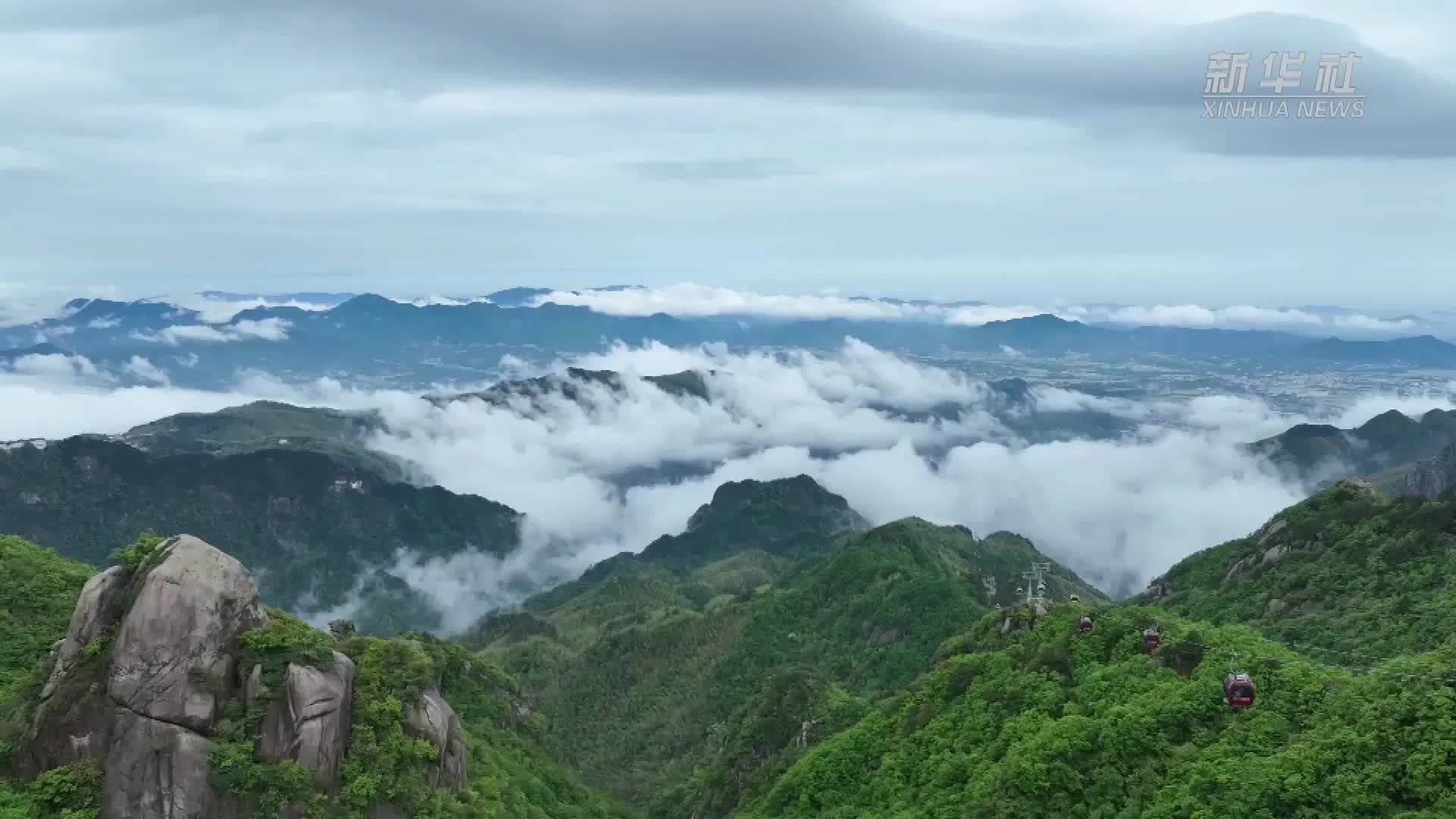 文化中国行｜九华山：缥缈云海景如画 山花烂漫醉游人