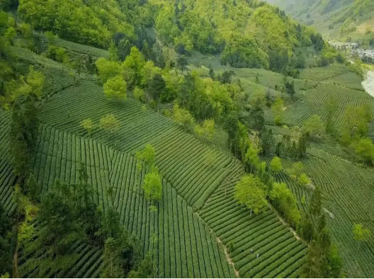 陇南这条研学旅游线路 等你“趣”玩