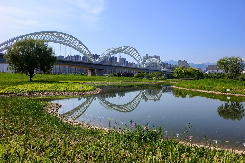 宝鸡市金台区:提升城市品质 提高人民群众获得感,幸福感和满意度