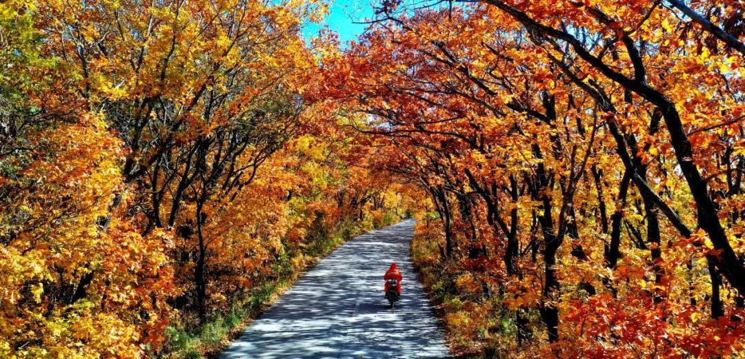 黑龙江:以路强农 以路兴商