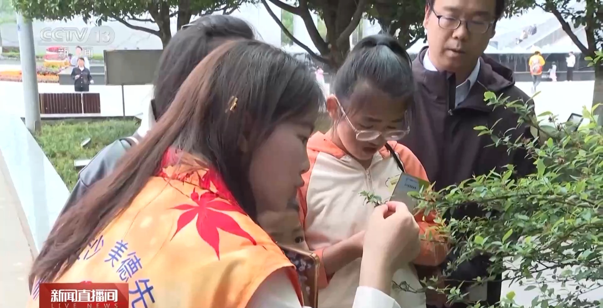 VR探窟纸中石窟……换个视角看敦煌有啥不一样