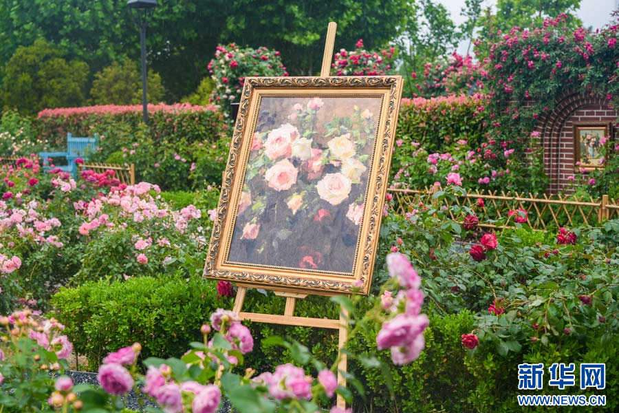 图为沙湖公园月季园内，月季主题油画与鲜花相映生辉。新华网发