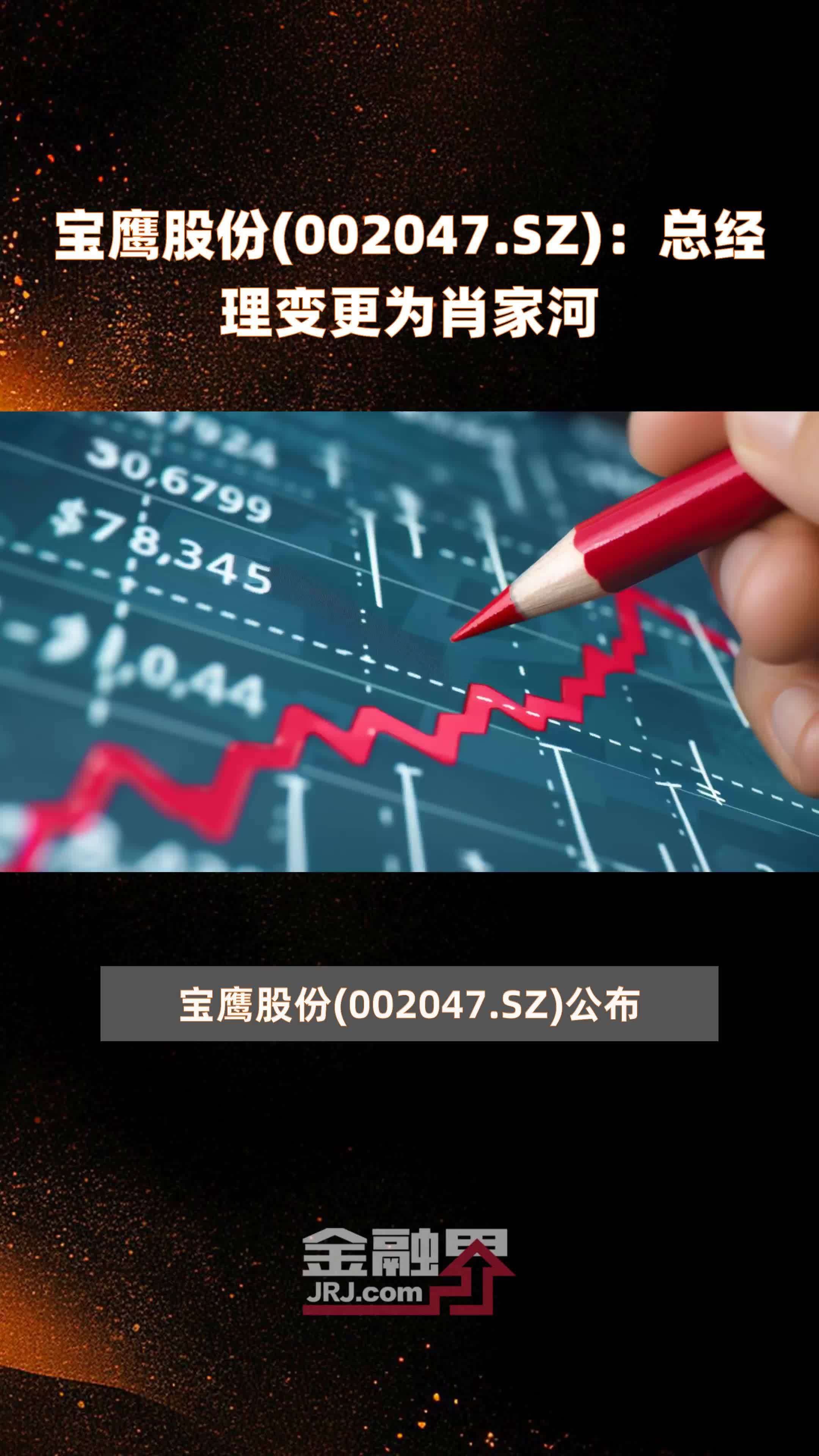 宝鹰股份(002047.SZ)：总经理变更为肖家河 |快报