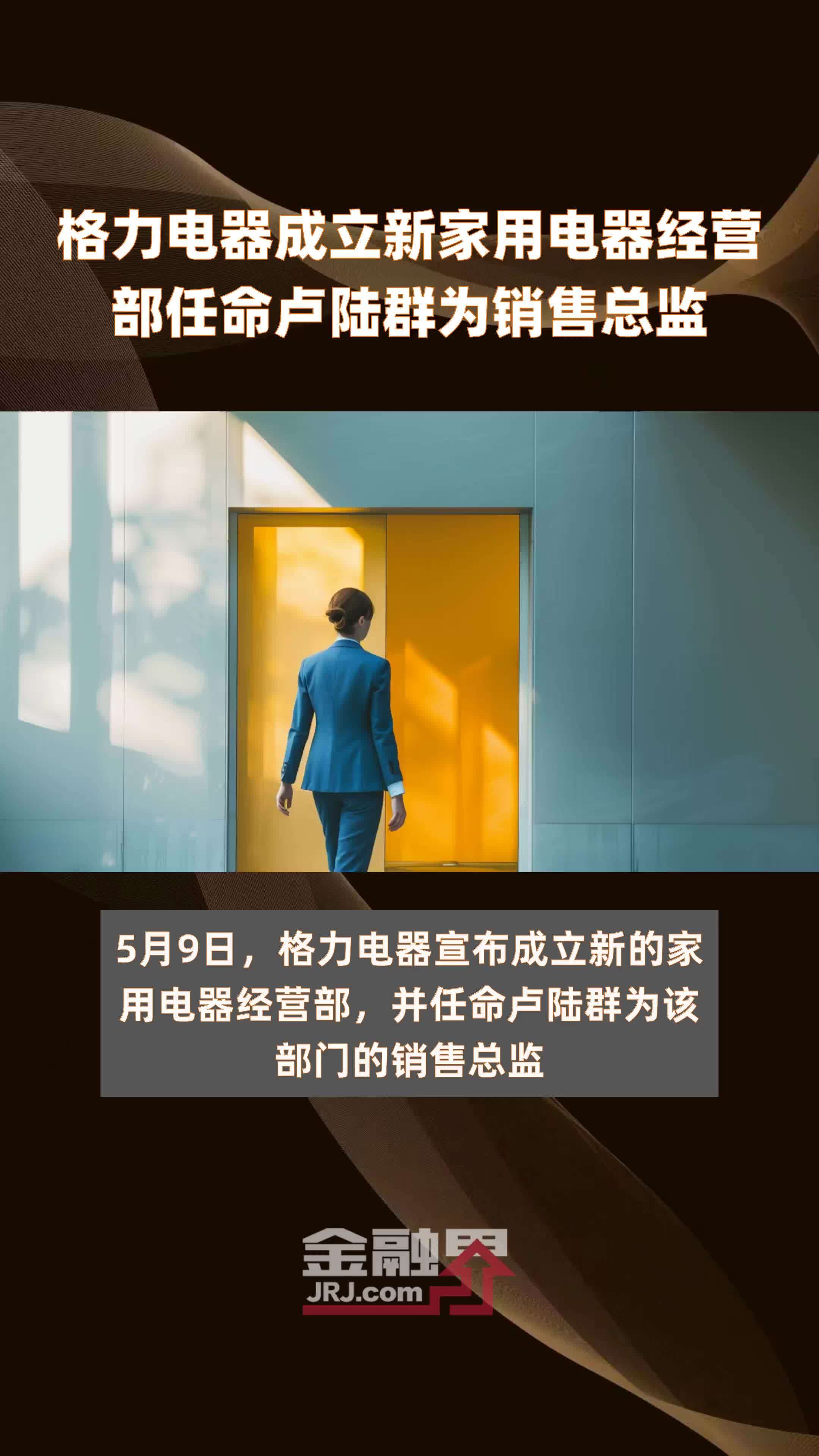 格力电器成立新家用电器经营部任命卢陆群为销售总监|快报