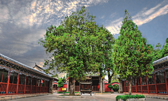 陇南这条研学旅游线路 等你“趣”玩
