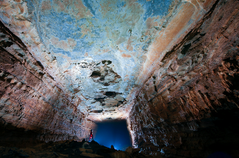 探洞林秘境，研自然之旅 |《诗画绥阳》即将上线