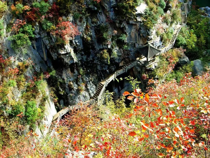 陇南这条研学旅游线路 等你“趣”玩