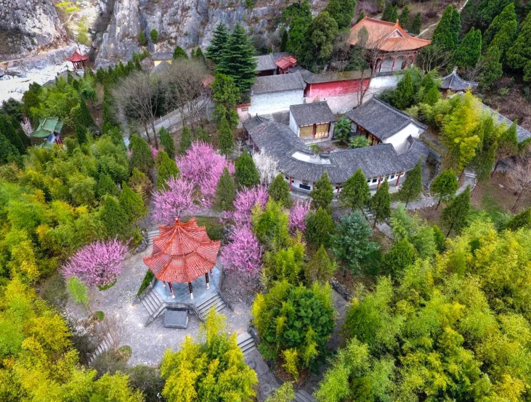 陇南这条研学旅游线路 等你“趣”玩