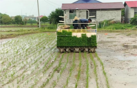 湖南:向新质生产力要农业发展"新"动力