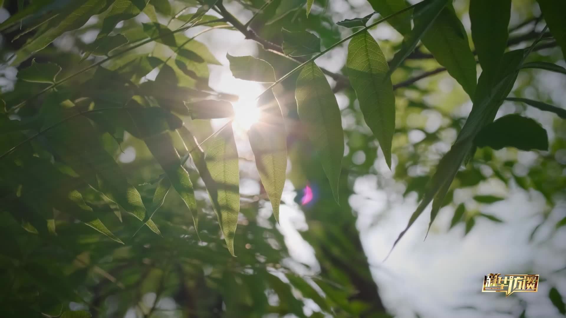 读懂青少年|中科院院士郑泉水：保护好孩子眼里的光