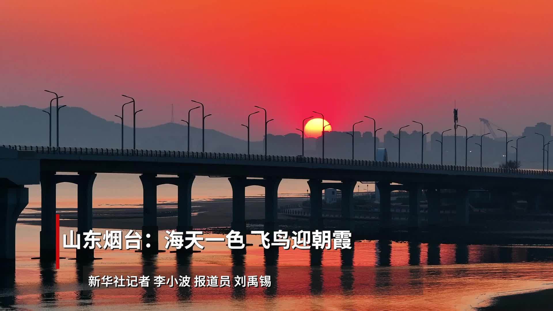 山东烟台：海天一色 飞鸟迎朝霞