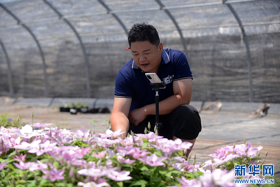5月8日,河南省安阳市滑县四间房镇高寨村铁线莲育苗基地,村民在通过网络直播销售花卉。