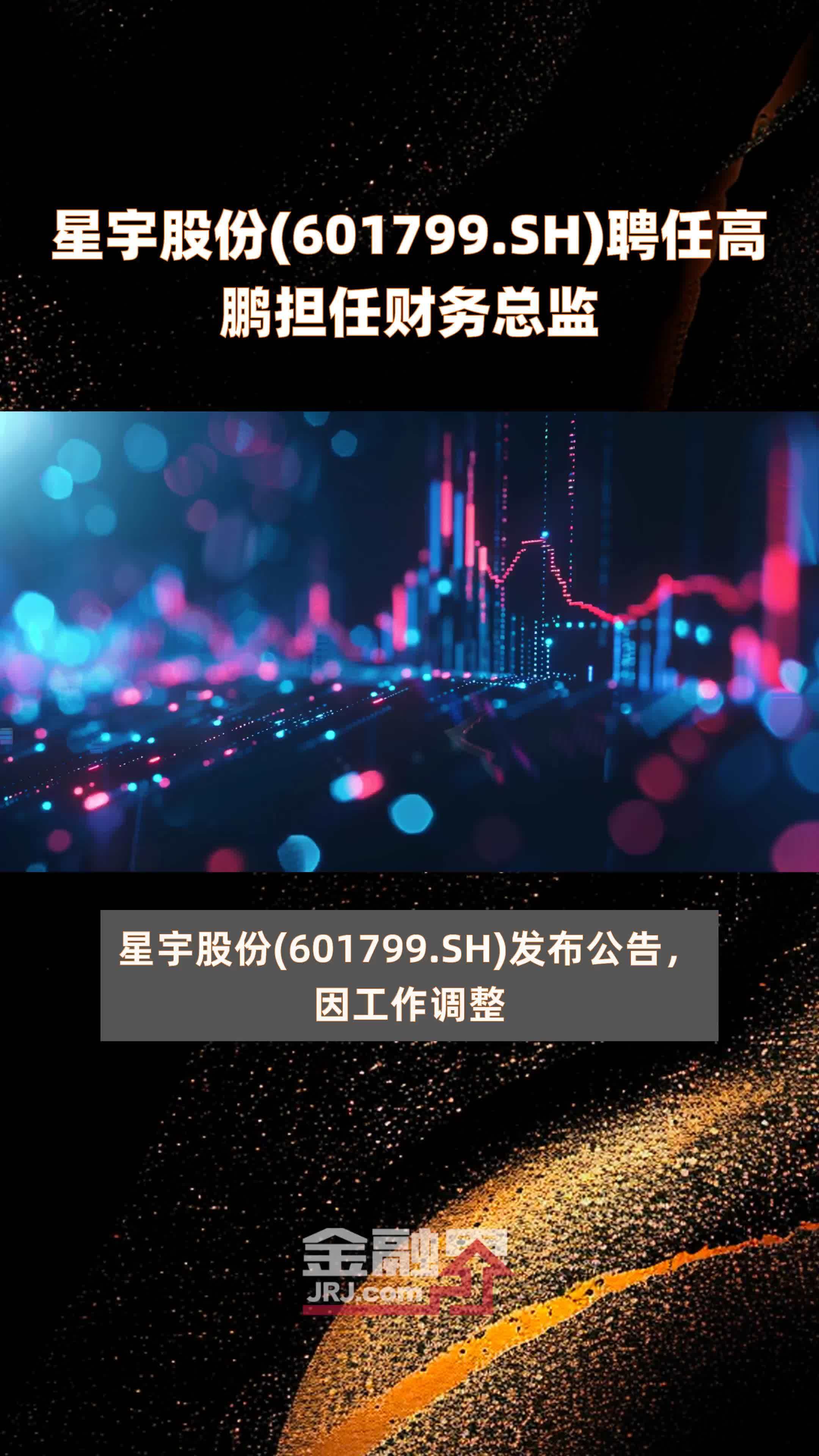 星宇股份601799sh聘任高鹏担任财务总监快报
